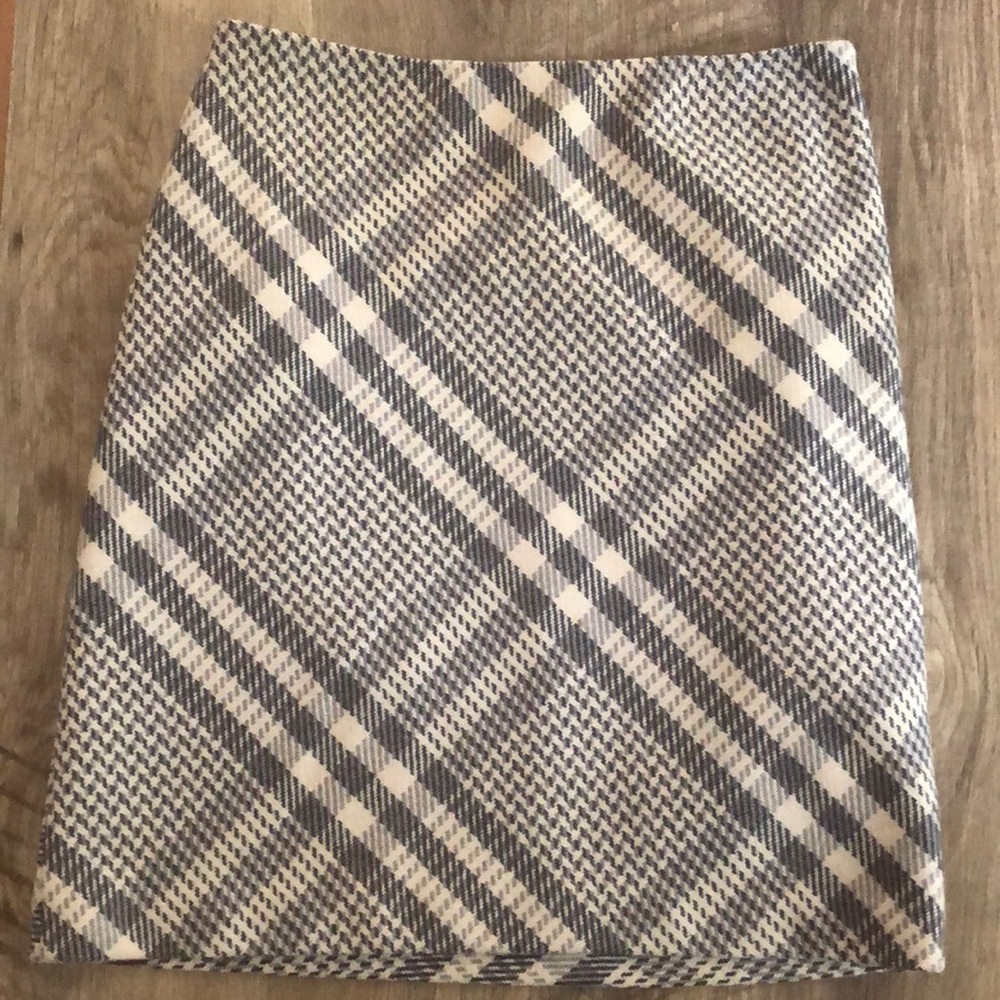 Ann Taylor Skirt